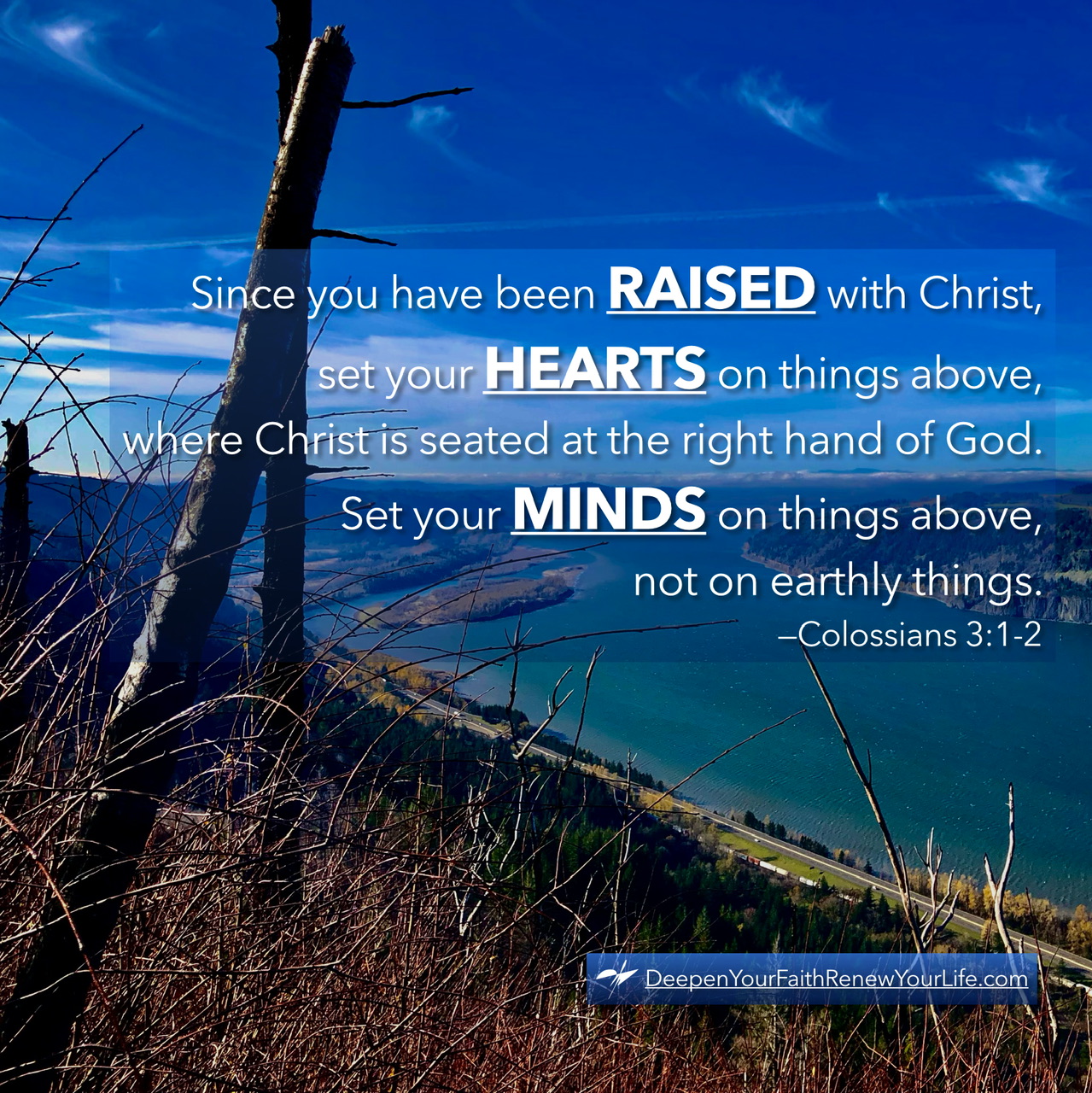 YV Colossians 3:1-2